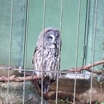 LINE_ALBUM_千葉市動物公園2021.11.23_211124_90